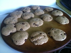Paleo chocolate chip cookies hot from the oven!